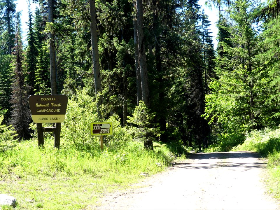 Colville NF Davis Lake June 2020 by Sharleen Puckett 5