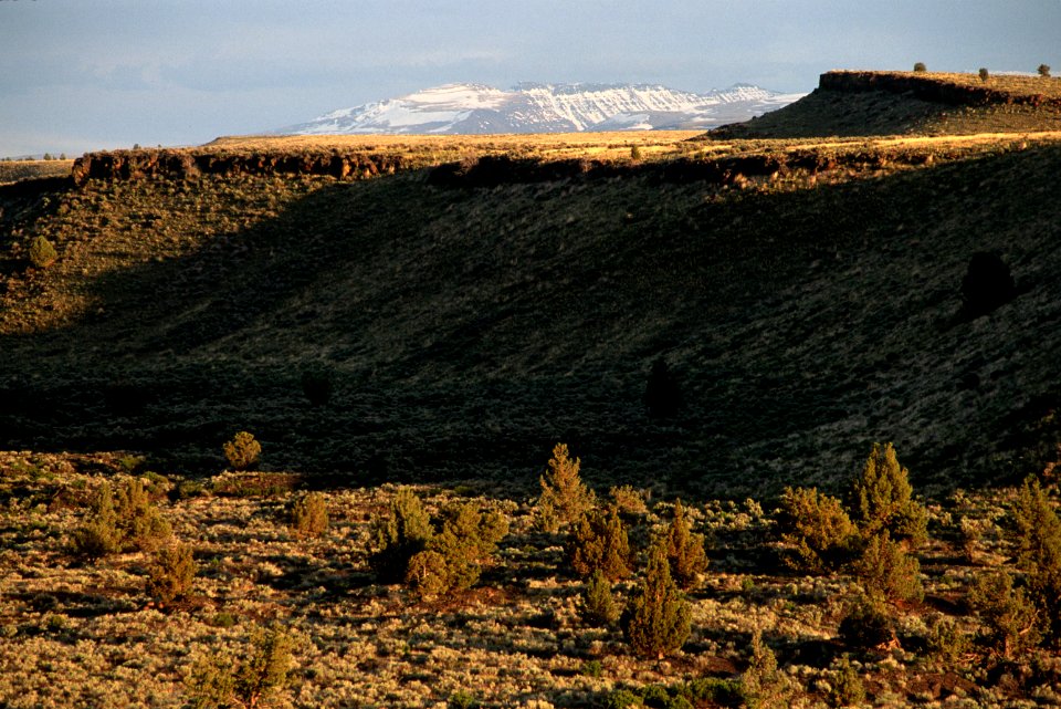 Deschutes National Forest, Diamond Craters and Steens Mountains in the distance.jpg