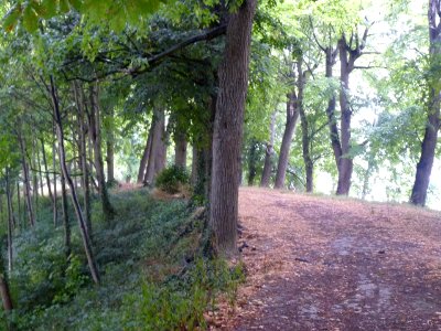 Gisors