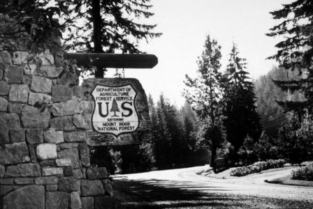 162 entrance sign for Mt Hood NF on Mt Hood Loop Hwy in Zigzag