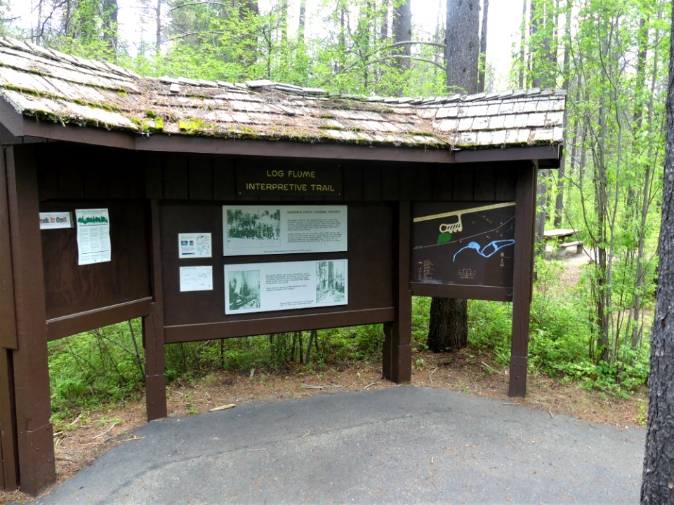Colville NF log flume trail June 2020 by Sharleen Puckett 16