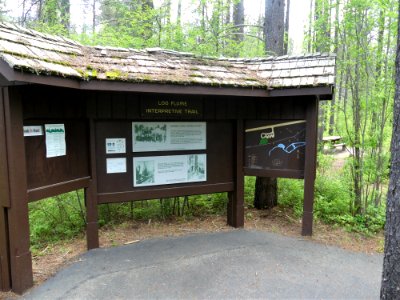 Colville NF log flume trail June 2020 by Sharleen Puckett 16