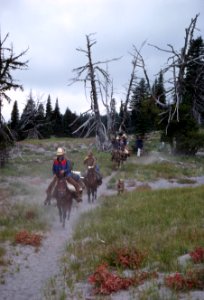 Recreation, horseback riders on the Pacific Crest National Scenic Trail, Mt Hood National Forest photo