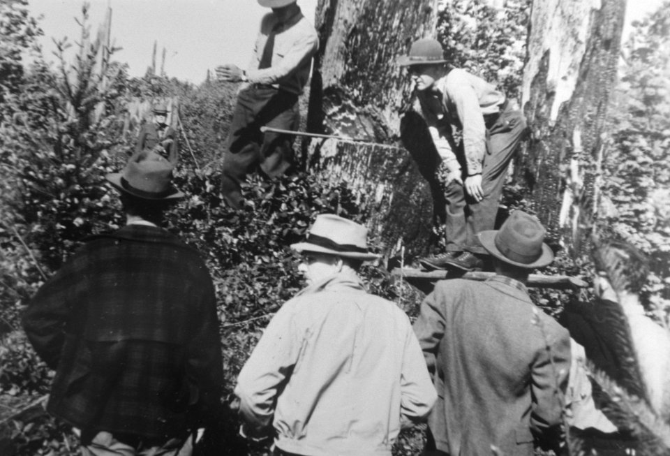298 CCC crew gets snag felling instructions