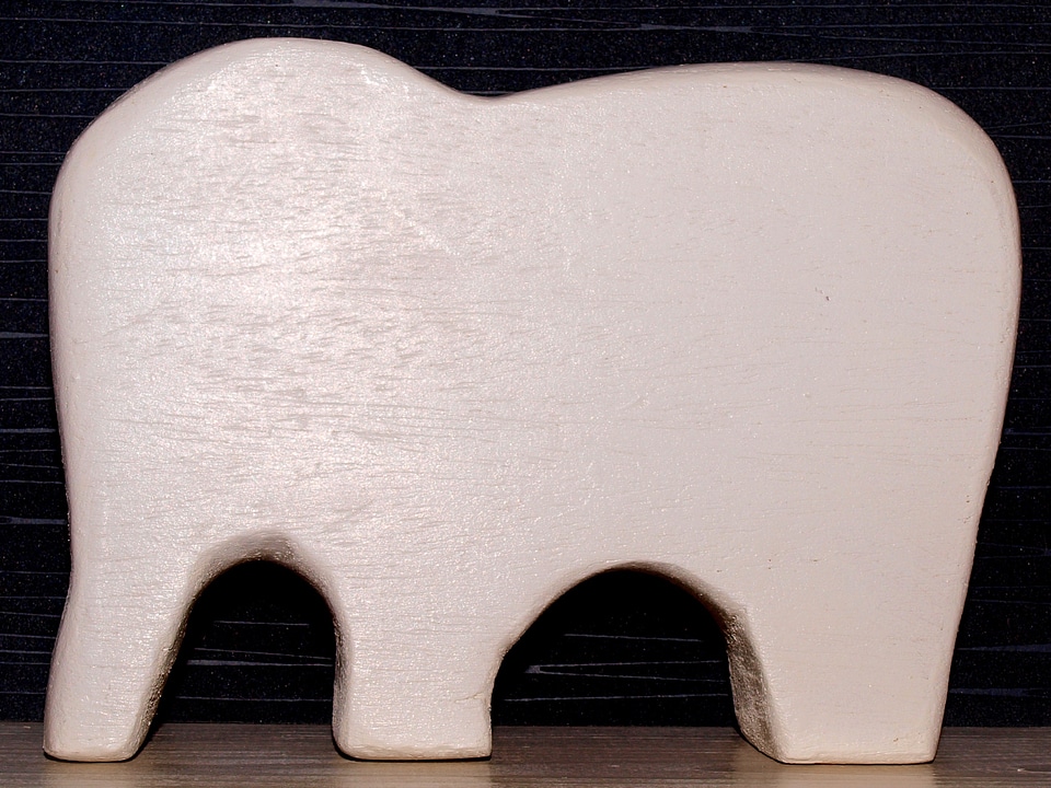 Pachyderm proboscis animal