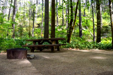 Bogus Creek Campground, Umpqua National Forest