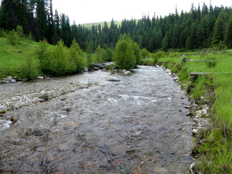Camp Growden Heritage Site Sherman Creek upriver June 2020 by Sharleen Puckett
