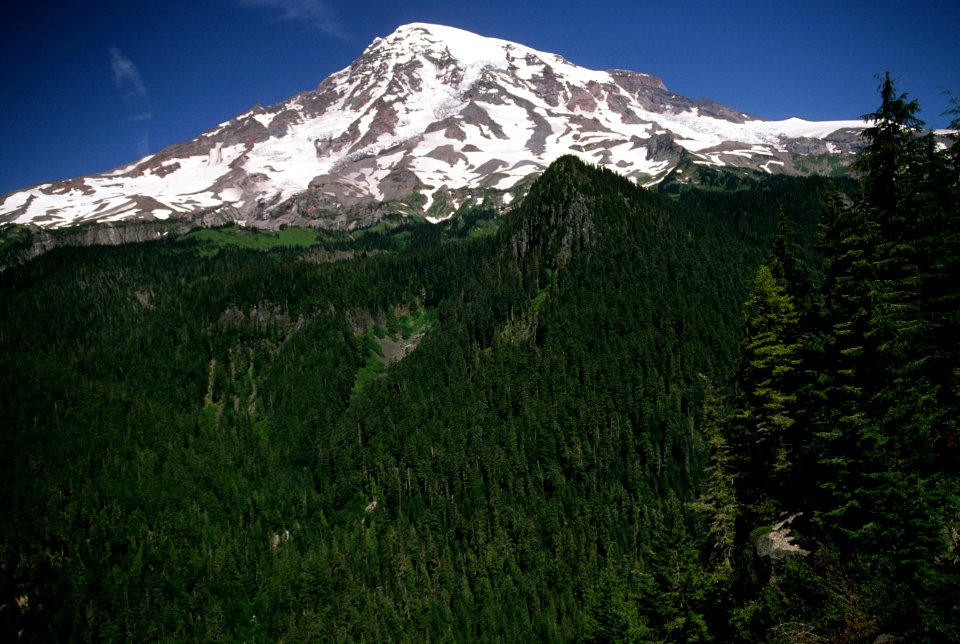 Mt Rainier, Mt Rainier National Park, Gifford Pinchot National Forest.jpg