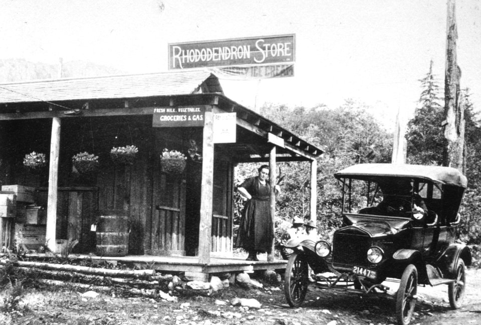 190 Rhododendron store