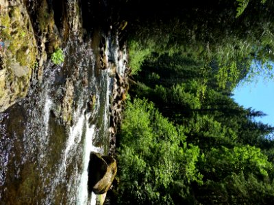 eagle creek in water photo