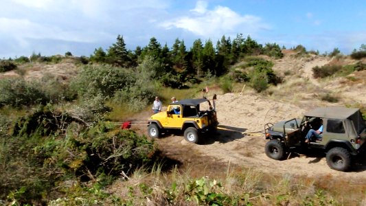 Jeeps Pulling Log Pile, Siuslaw National Forest photo