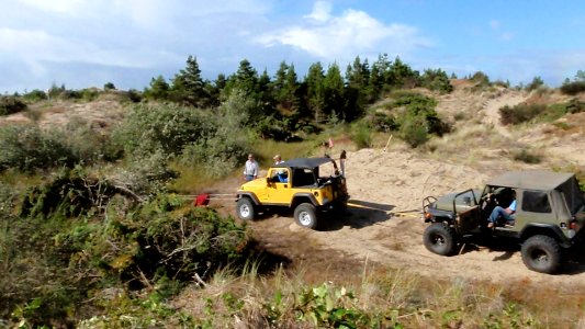 Jeeps Pulling Log Pile, Siuslaw National Forest
