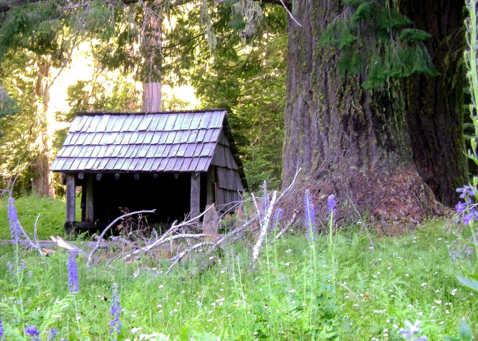 Cripple Camp Shelter, Rogue-Umpqua Divide Wilderness, Umpqua National Forest