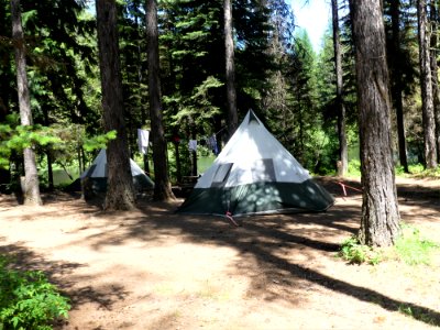 Big Meadow Lake Campground tent June 2020 by Sharleen Puckett