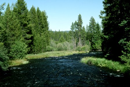 Crescent Creek, Deschutes National Forest.jpg photo