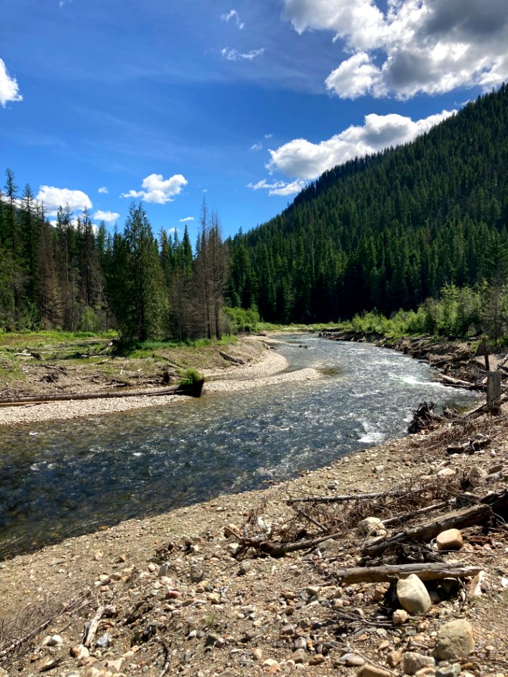 Colville NF - Sullivan Creek Mill Pond - June 2020 - Sullivan Creek - Starr Farrell