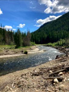 Colville NF - Sullivan Creek Mill Pond - June 2020 - Sullivan Creek - Starr Farrell