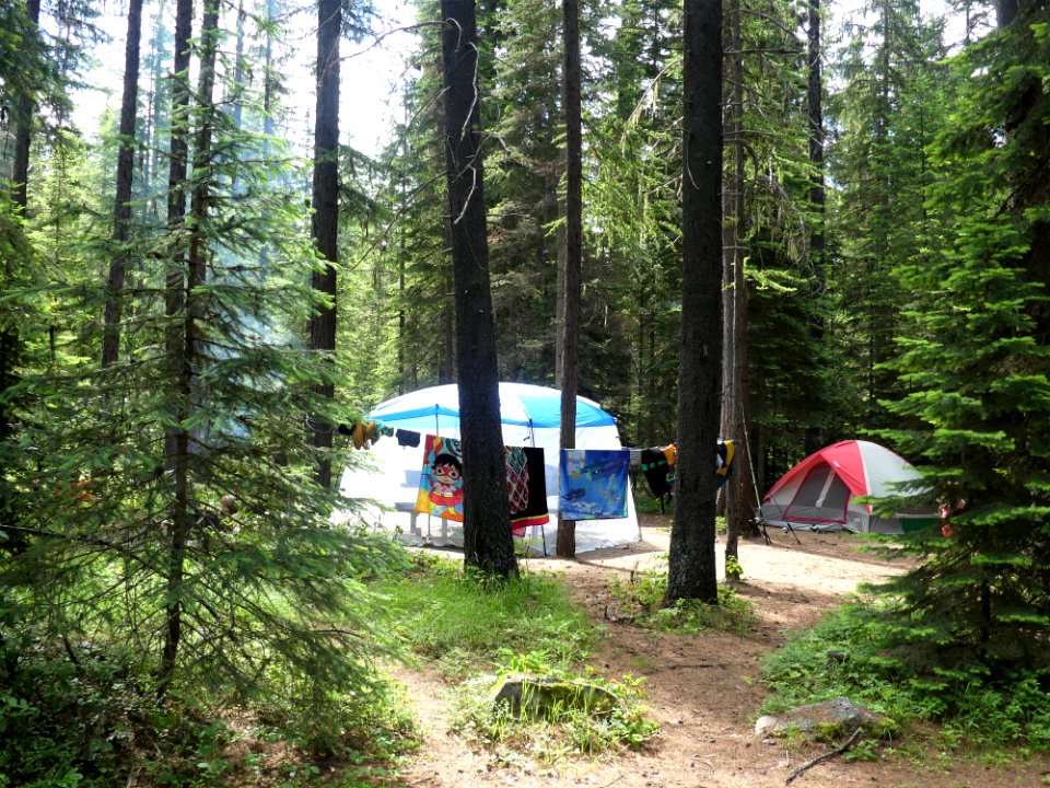Colville NF Gillette Lake Campground June 2020 by Sharleen Puckett 10