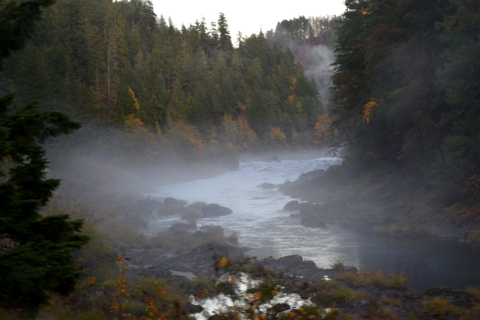 dsc 0944jpg 48801021296 o