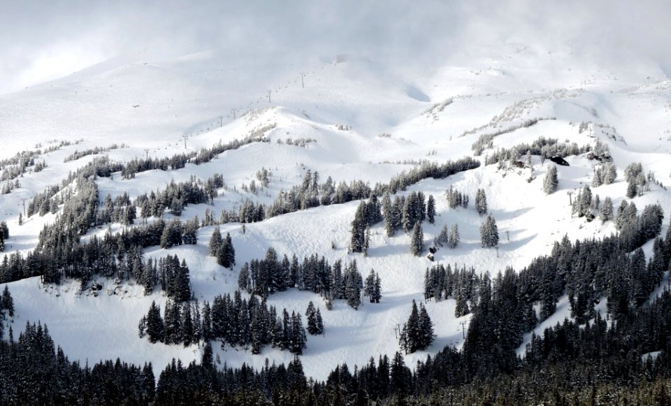 Mt. Hood Meadows on the Mt. Hood National Forest