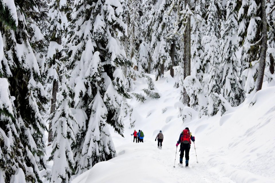 Mt. Hood Meadows on the Mt. Hood National Forest