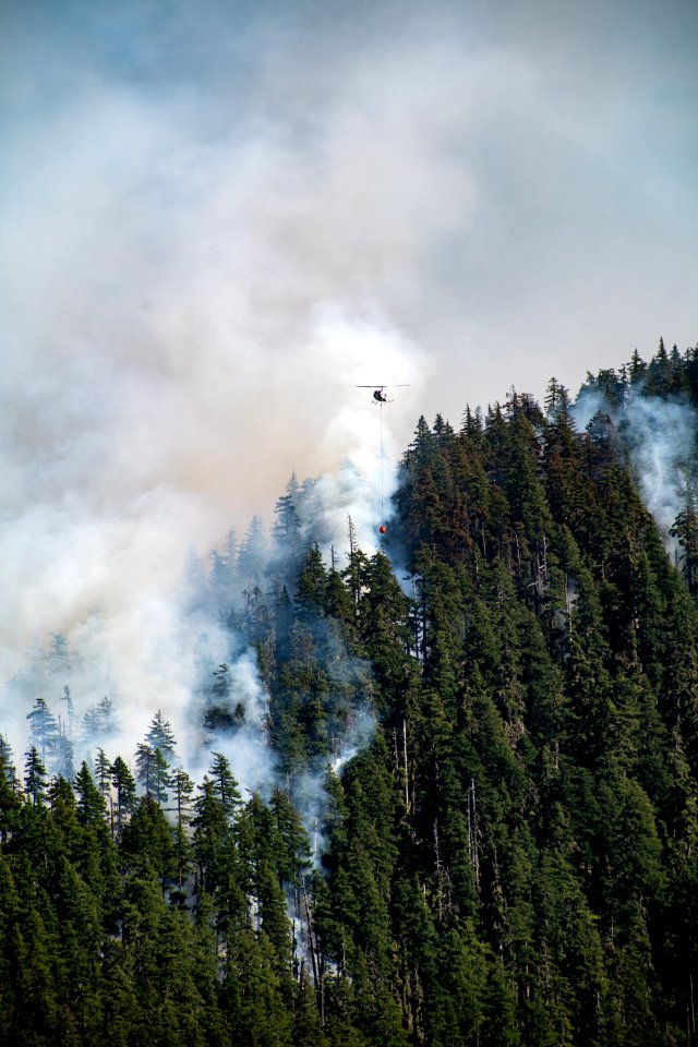 Beachie Creek Fire Smoky Hillside Willamette National Forest