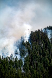 Beachie Creek Fire Smoky Hillside Willamette National Forest photo