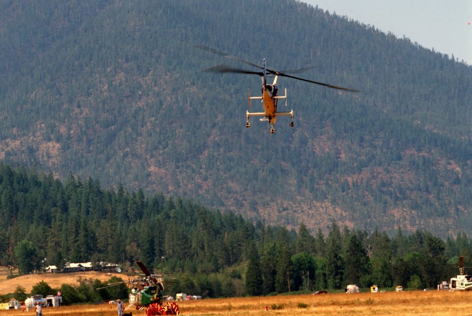 245 Rogue River-Siskiyou National Forest, Biscuit Fire
