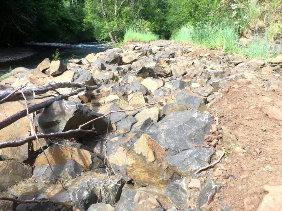 South Fork Walla Walla Trail (South Fork Walla Walla River)