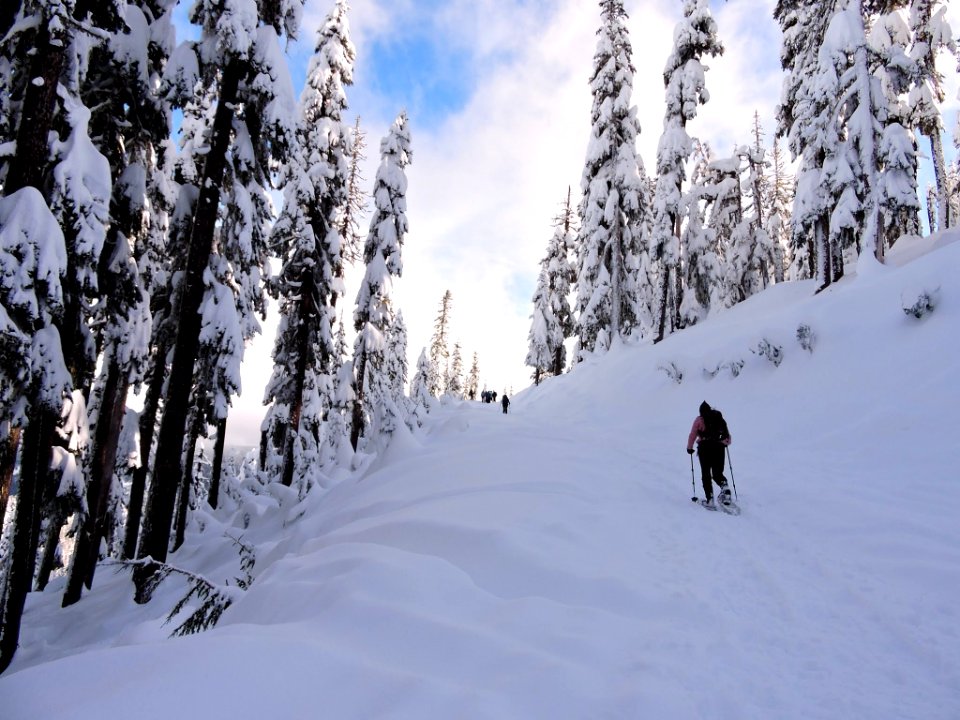 Mt. Hood Meadows on the Mt. Hood National Forest