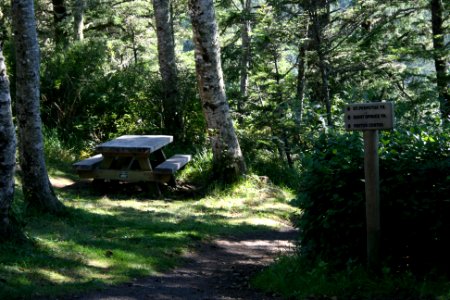 Picnic Table at Cape Perpetua, Siuslaw National Forest photo