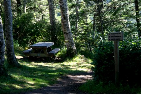 Picnic Table at Cape Perpetua, Siuslaw National Forest