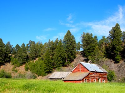 Wooden cabin