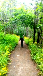 Forest Service Field Ranger out on the trail June 2018