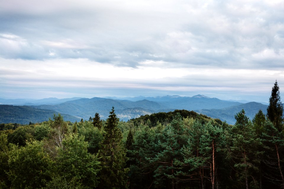 Bieszczady mountains