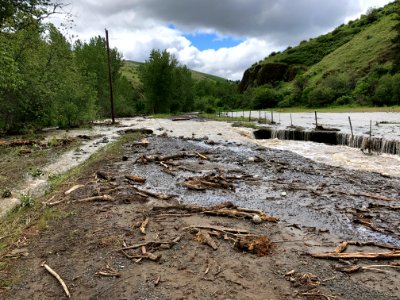 Forest Service Road 54 (Pearson Creek)