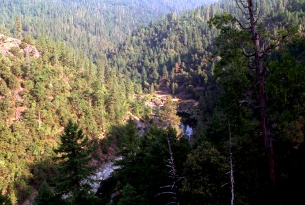 Rogue River and Forest, Rogue River-Siskiyou National Forest.jpg photo