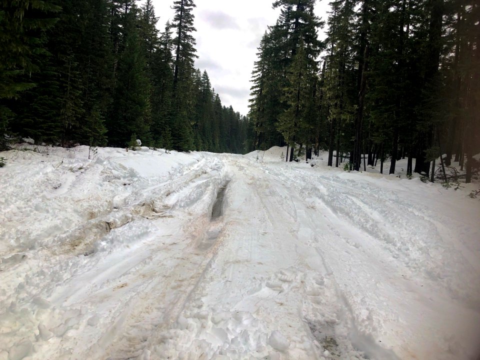 20201119 GiffordPinchot Snow on 60 Road between four corners and crest camp 03 by Murray Brown