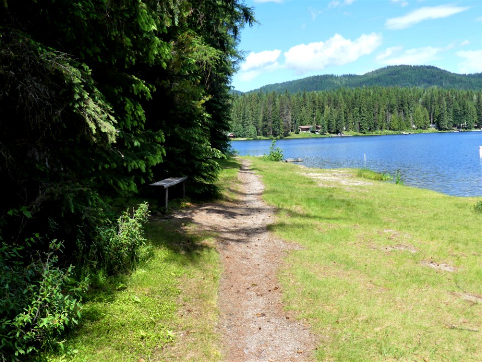 Colville NF Gillette Lake Campground June 2020 by Sharleen Puckett 13