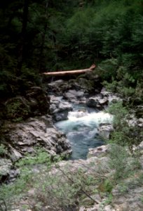 Small Waterfall, Rogue River-Siskiyou National Forest.jpg photo