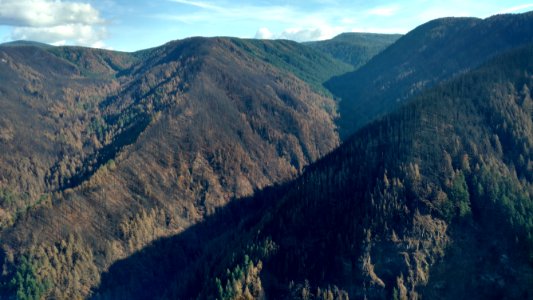 Above the Eagle Creek Fire area Sept. 23, 2017 at Oneonta Creek.