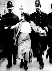 Arrest of Dora Thewlis photo