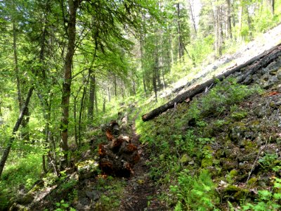 13 Mile Trail June 2020 logout by Sharleen Puckett
