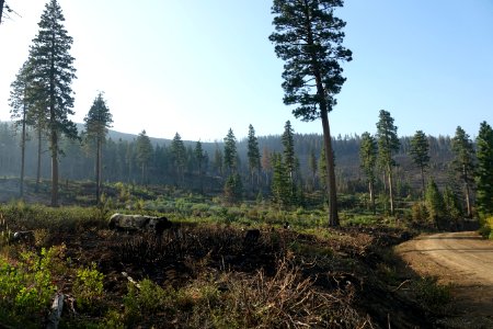 Lionshead Fire, 9-20-2020