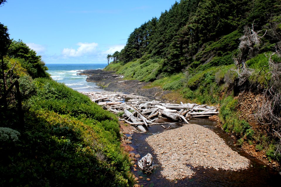Cape Creek emptying into the Pacific Ocean at Cape Perpetua on the Siuslaw National Forest