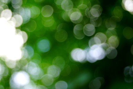 Green Nature Blur