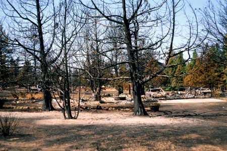 308 Bend,OR Deschutes National Forest,Skeleton Fire