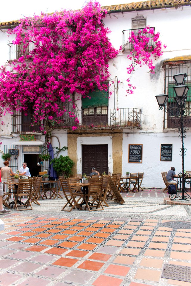 Flores y alegría, Viva Andalucía !