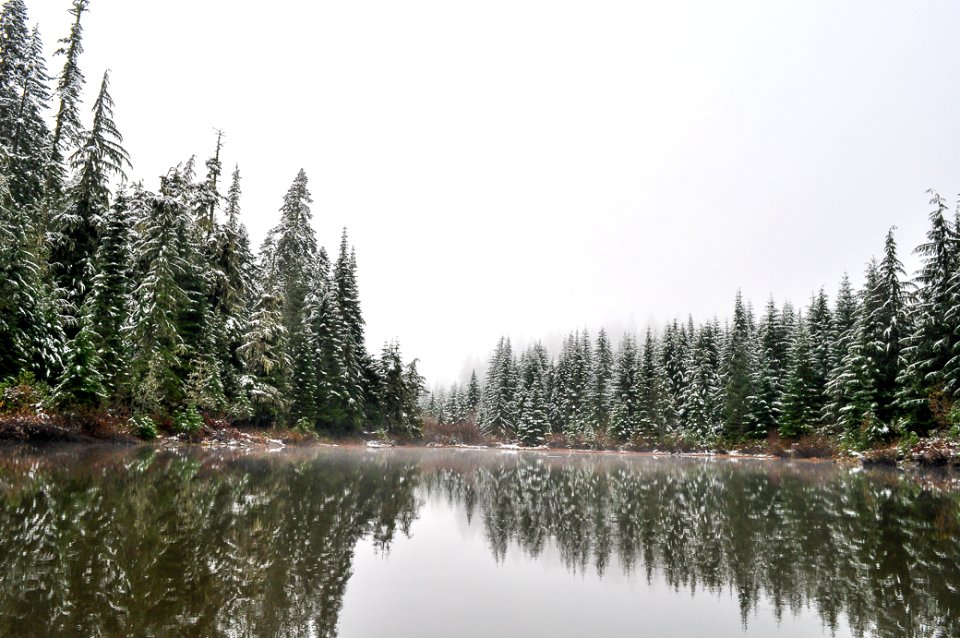 Tiller Ranger District, Umpqua National Forest