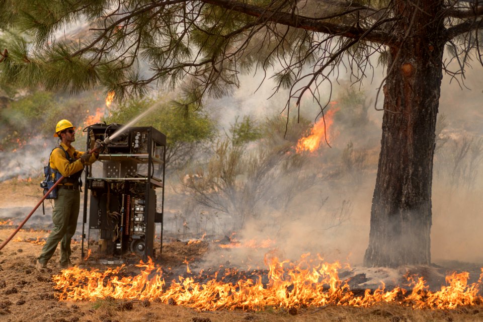 Firefighters conducting burnout operation